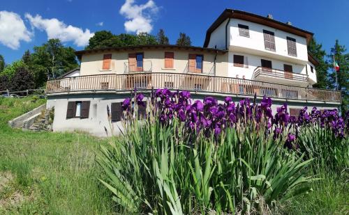 DumenzaRifugio Campiglio的一座古房子,前面有紫色的鲜花