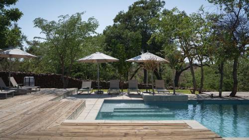 LentswelemoritiMashatu Lodge的游泳池旁的游泳池配有椅子和遮阳伞