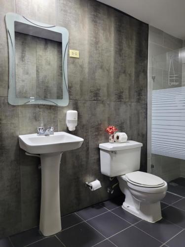 拉罗马纳Hotel Olimpo的一间带卫生间、水槽和镜子的浴室