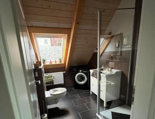 塔内Ferienwohnung Hexenstube 1的浴室配有卫生间、盥洗盆和洗衣机。