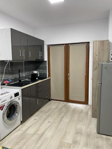 苏恰瓦Studio的厨房配有洗衣机和冰箱。