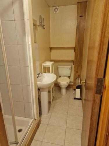 伦敦Bright studio apartment Highgate的一间带卫生间和水槽的小浴室
