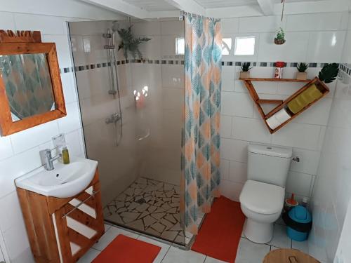 圣安尼La Kaza Tresor - Joli appartement T2 et spa privé的浴室配有卫生间、淋浴和盥洗盆。