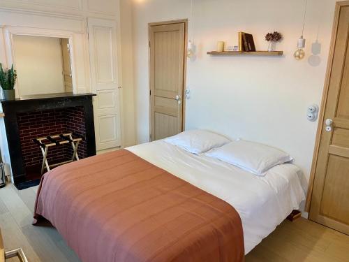 勒藏讷LA PARCELLE的一间卧室设有一张大床和壁炉