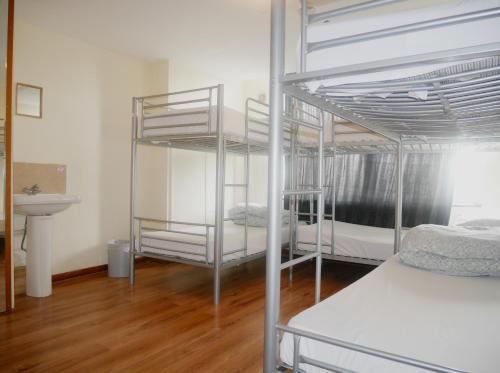 肯萨尔绿色背包客旅舍 客房内的一张或多张双层床