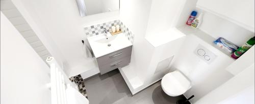 里昂PLEIN SUD Terrasse Panoramique Climatisation Garage Netflix的白色的浴室设有水槽和卫生间。