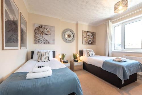 南安普敦Douglas House的一间卧室设有两张床和窗户。
