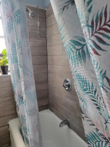 布鲁克林Brooklyn Flat Tropical Vibe的带淋浴和浴帘的浴室