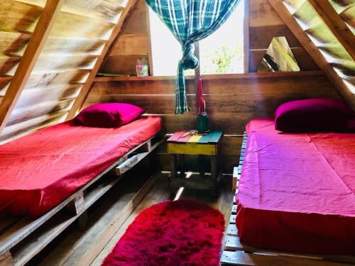 ZanderijLand of Promise - Reggae Escape的一间卧室设有两张床和窗户。