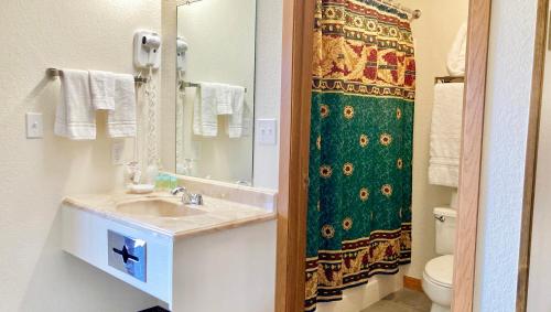 格兰德莱克Big Horn Lodge的一间带水槽和淋浴帘的浴室