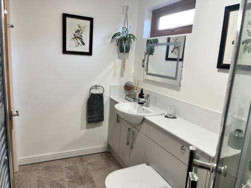 切尔滕纳姆Wellinghill Lodge的白色的浴室设有水槽和卫生间。
