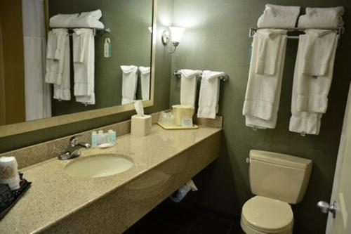 乔治湖乔治湖克拉丽奥酒店的一间带水槽、卫生间和镜子的浴室