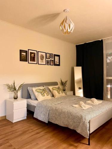 华沙HALBY rooms Rondo ONZ的一间卧室配有一张床和一个吊灯