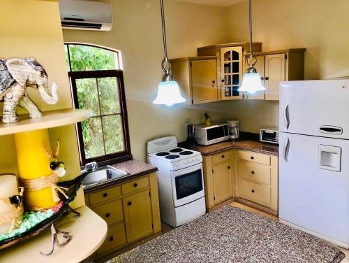 科潘玛雅遗址Apartamento Mayan Plaza的厨房配有白色冰箱和炉灶。