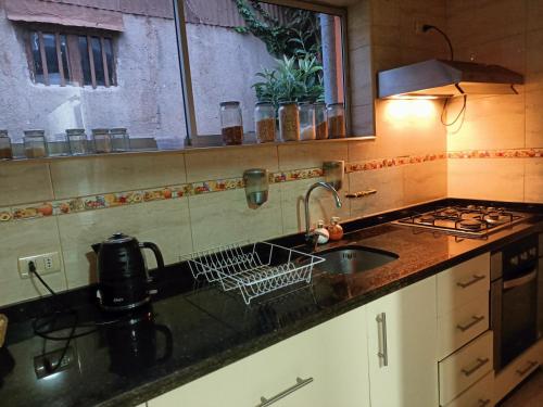 维纳德马Casa en Viña del Mar的厨房台面设有水槽和水槽