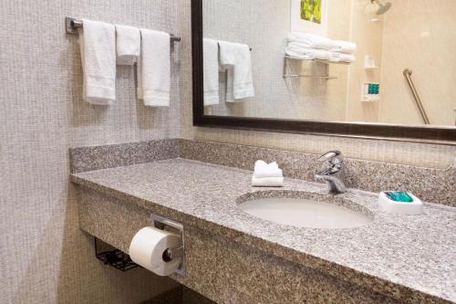 代顿北代顿德鲁套房酒店的浴室配有盥洗盆、镜子和毛巾