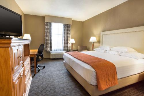 圣安东尼奥圣安东尼奥北石橡树德鲁酒店的配有一张床和一台平面电视的酒店客房