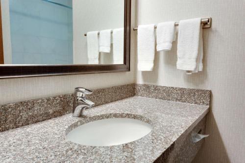 格林维尔格林维尔德鲁里酒店的浴室配有盥洗盆、镜子和毛巾