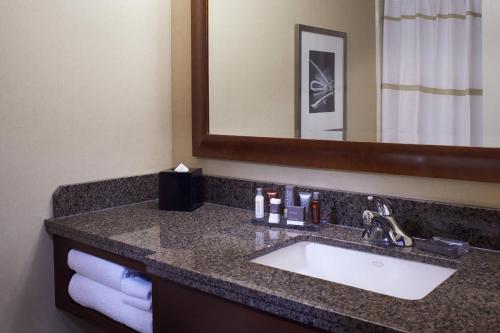 底特律底特律文艺复兴中心万豪酒店的一间带水槽和镜子的浴室