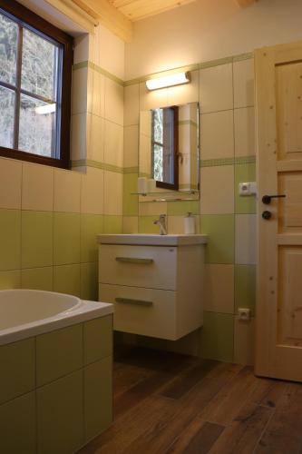 诺维赫罗泽科夫Dřevěnice v Brodské的一间带水槽、浴缸和镜子的浴室