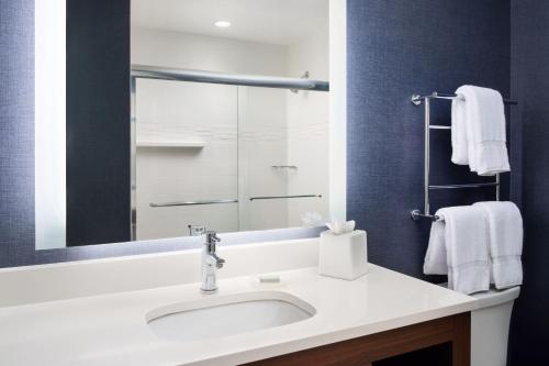 埃斯特罗迈尔斯堡 I-75/墨西哥海湾镇中心公寓式酒店的一间带水槽和镜子的浴室