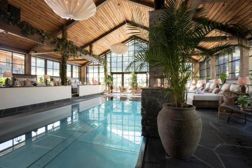海姆瑟达尔Fýri Resort的一座大型室内游泳池,里面种植了盆栽植物