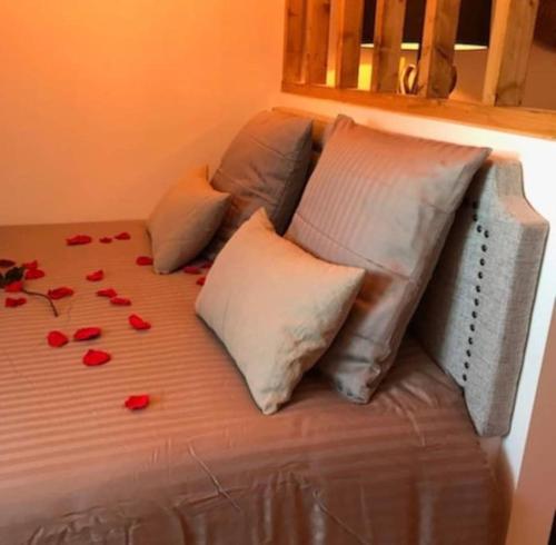 马孔Séjour détente centre historique de MACON avec spa的一张床上有红色玫瑰花瓣的床