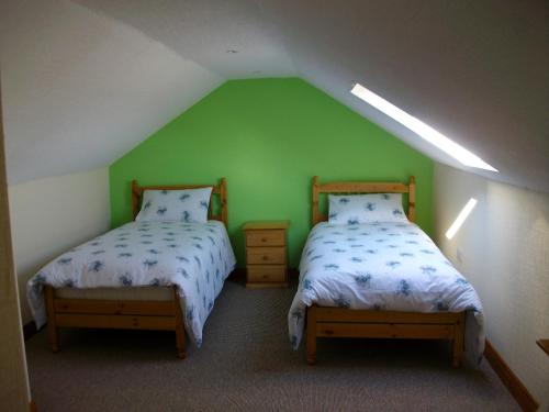 ClonmacnoiseClonmacnoise B&B的绿墙客房的两张床