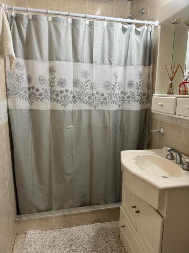 圣安东尼奥德阿雷科Los abuelos的浴室配有淋浴帘和盥洗盆。