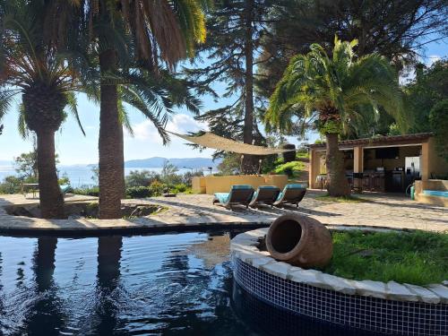 勒拉旺杜Villa La Renarde的一座棕榈树游泳池和一座房子