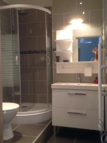 奥尔良切斯尤杜思公寓 的一间带水槽、卫生间和淋浴的浴室