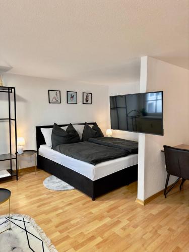 布雷根茨Charmante Wohnung am Hafen的一间卧室设有一张大床和一台平面电视。