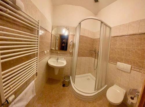 赫拉德茨 - 克拉洛韦塞尔尼昆膳食公寓的带淋浴、盥洗盆和卫生间的浴室