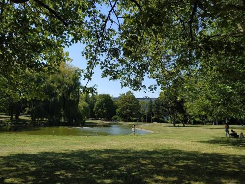 图尔昆Happy house的公园里有一个池塘,人们坐在草地上
