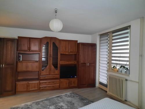 布戈伊诺Apartment Lamele Bugojno的客厅设有木制橱柜和大窗户。