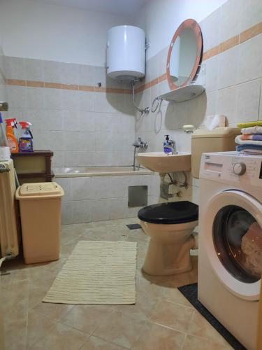 布戈伊诺Apartment Lamele Bugojno的一间带卫生间和洗衣机的浴室
