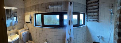 迪尔巴克Trusties的浴室设有窗户、卫生间和水槽。