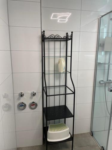 拉尔FeWo Zakharov的带淋浴的浴室内的黑架
