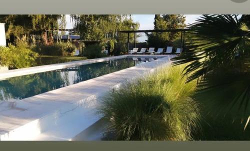 La Consulta芬卡拉普埃布拉酒店的一个带躺椅的游泳池,并种植了棕榈树