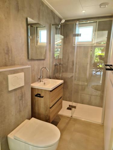艾格蒙宾能Bungalowpark Mooyeveld的浴室配有卫生间、盥洗盆和淋浴。