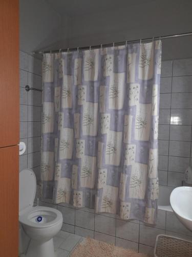 卡兰巴卡Antonioy apartment Kalampaka的带淋浴帘和卫生间的浴室