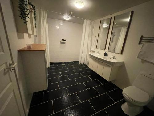GadstrupCountry guesthouse的一间带卫生间和水槽的浴室