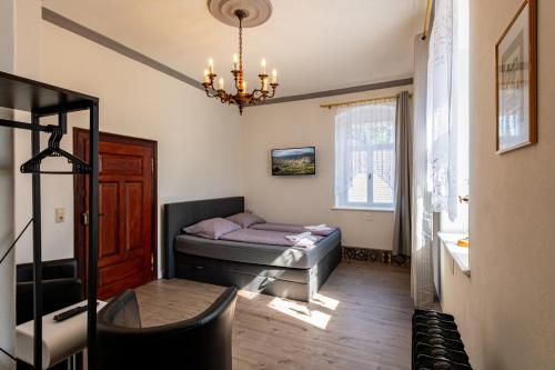 大舍瑙Villa Hänsch Suite 3的一间带一张床和吊灯的小卧室