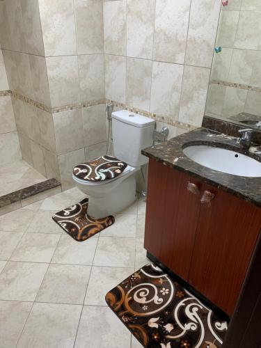 迪拜Paz Holiday Luxurious Space的一间带卫生间和水槽的浴室