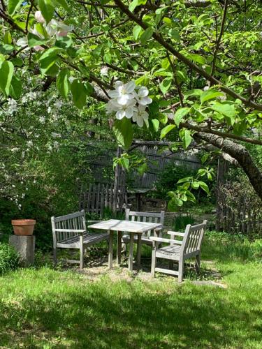 WiscassetMarston House Wiscasset的一张野餐桌和树下的两张长椅