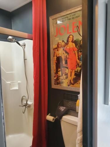 加特林堡Jolene的浴室的墙上挂有电影海报