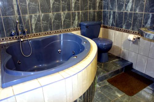 瓦拉斯Gran Hotel Alturas的一间带蓝色浴缸和卫生间的浴室
