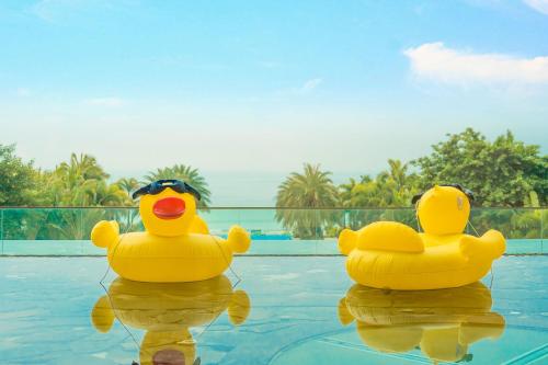 汕尾汕尾保利希尔顿逸林酒店的两个橡皮鸭浮在游泳池顶上