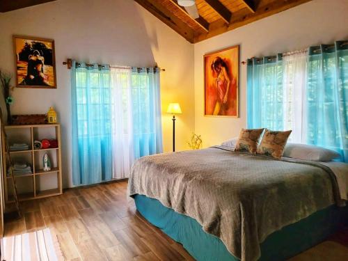圣安斯贝Ecoscape Jamaica - Lavish 1-br cottage by the river的一间卧室配有一张带蓝色窗帘的大床
