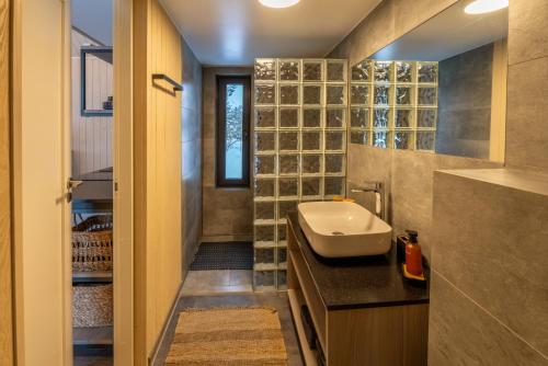 萨拉斯皮尔斯The Sound of Silence - romantic tiny house near Riga的一间带水槽和镜子的小浴室